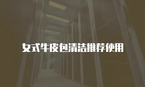 女式牛皮包清洁推荐使用