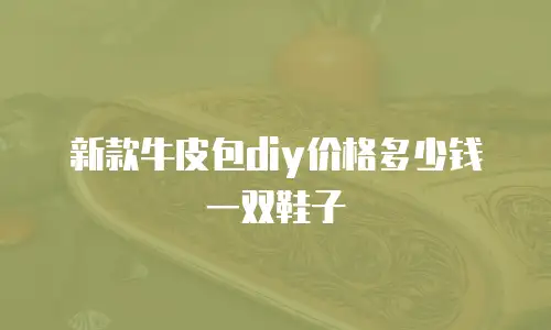 新款牛皮包diy价格多少钱一双鞋子