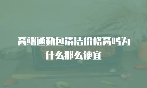 高端通勤包清洁价格高吗为什么那么便宜
