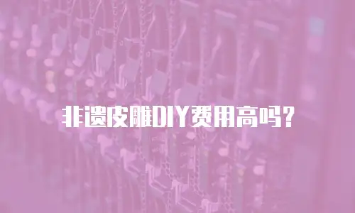 非遗皮雕DIY费用高吗？