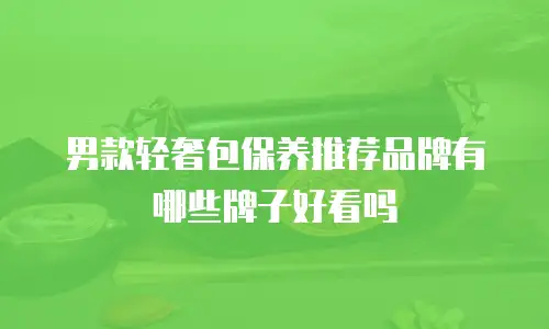 男款轻奢包保养推荐品牌有哪些牌子好看吗