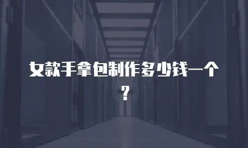 女款手拿包制作多少钱一个？