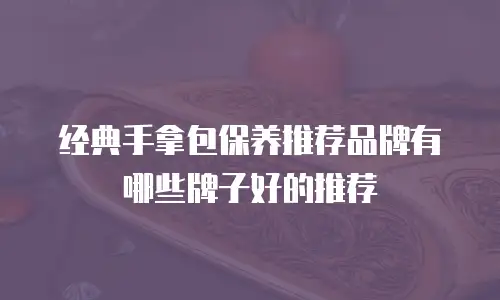 经典手拿包保养推荐品牌有哪些牌子好的推荐