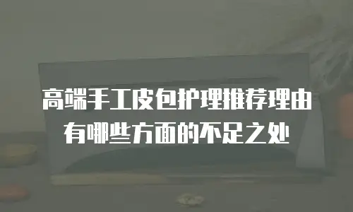 高端手工皮包护理推荐理由有哪些方面的不足之处