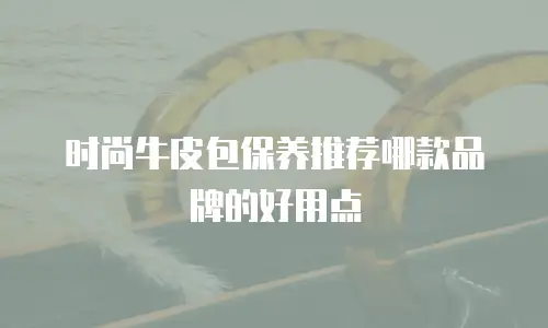 时尚牛皮包保养推荐哪款品牌的好用点