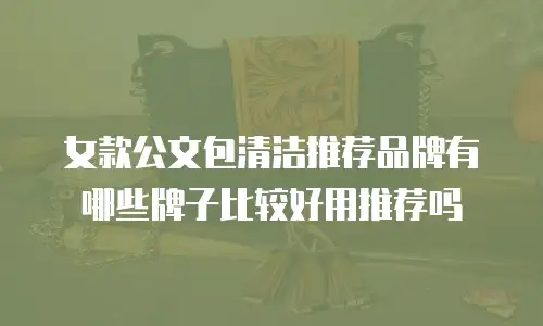 女款公文包清洁推荐品牌有哪些牌子比较好用推荐吗