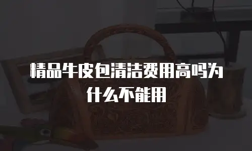 精品牛皮包清洁费用高吗为什么不能用