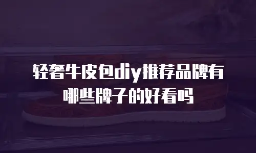 轻奢牛皮包diy推荐品牌有哪些牌子的好看吗