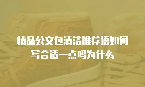 精品公文包清洁推荐语如何写合适一点吗为什么