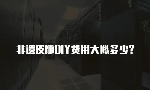 非遗皮雕DIY费用大概多少？