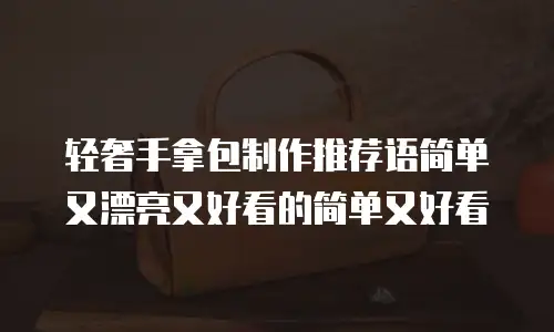 轻奢手拿包制作推荐语简单又漂亮又好看的简单又好看