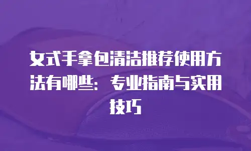 女式手拿包清洁推荐使用方法有哪些：专业指南与实用技巧