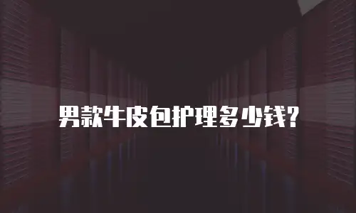 男款牛皮包护理多少钱？