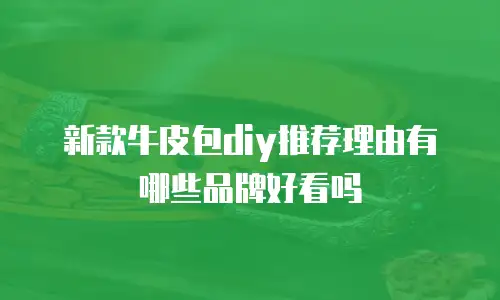 新款牛皮包diy推荐理由有哪些品牌好看吗