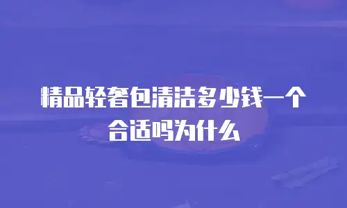 精品轻奢包清洁多少钱一个合适吗为什么