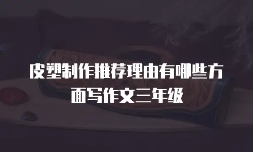 皮塑制作推荐理由有哪些方面写作文三年级