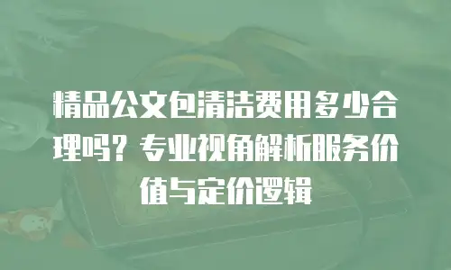 精品公文包清洁费用多少合理吗？专业视角解析服务价值与定价逻辑