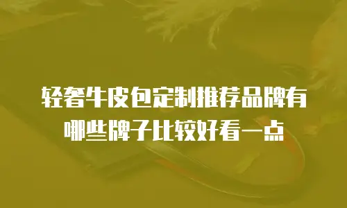 轻奢牛皮包定制推荐品牌有哪些牌子比较好看一点
