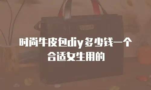 时尚牛皮包diy多少钱一个合适女生用的