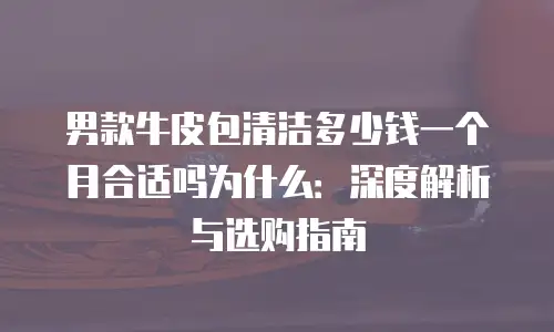 男款牛皮包清洁多少钱一个月合适吗为什么：深度解析与选购指南