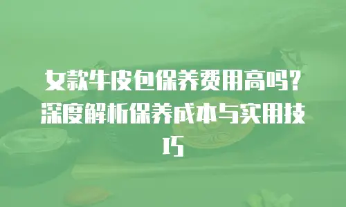 女款牛皮包保养费用高吗？深度解析保养成本与实用技巧