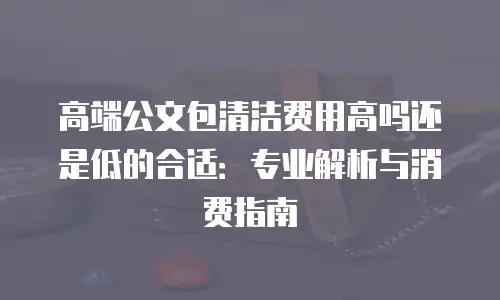高端公文包清洁费用高吗还是低的合适：专业解析与消费指南