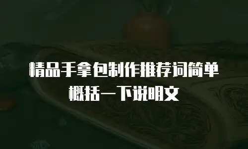 精品手拿包制作推荐词简单概括一下说明文
