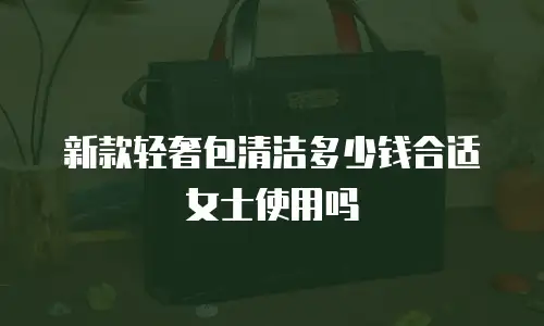 新款轻奢包清洁多少钱合适女士使用吗
