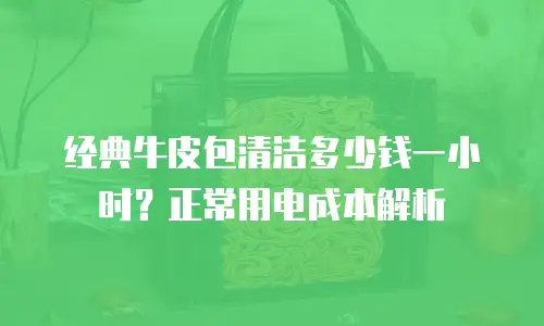 经典牛皮包清洁多少钱一小时？正常用电成本解析
