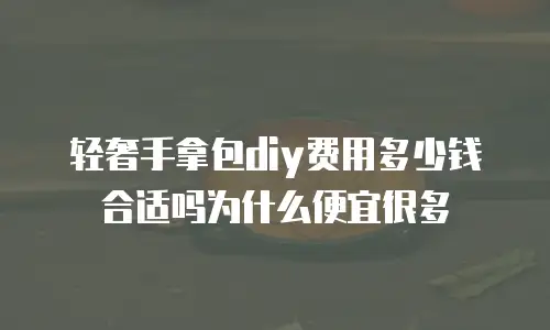 轻奢手拿包diy费用多少钱合适吗为什么便宜很多