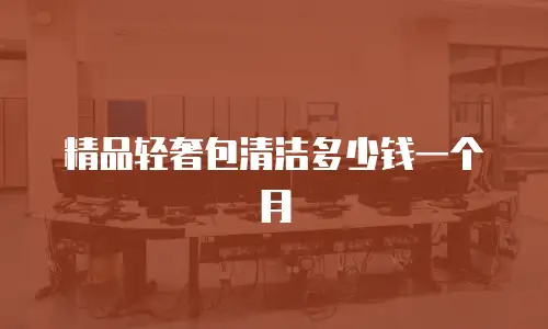 精品轻奢包清洁多少钱一个月