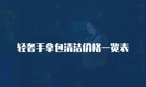 轻奢手拿包清洁价格一览表