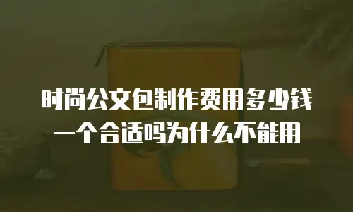 时尚公文包制作费用多少钱一个合适吗为什么不能用