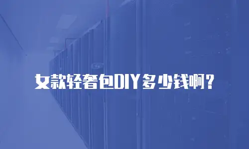 女款轻奢包DIY多少钱啊？