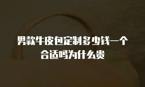 男款牛皮包定制多少钱一个合适吗为什么贵
