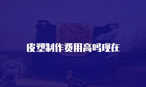 皮塑制作费用高吗现在