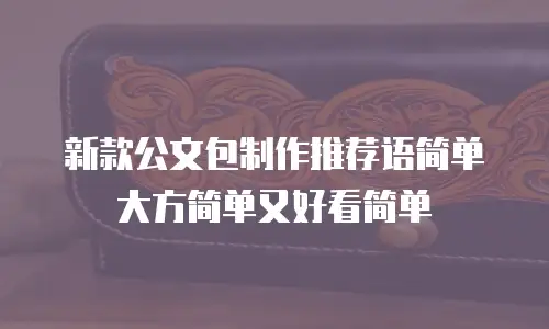 新款公文包制作推荐语简单大方简单又好看简单