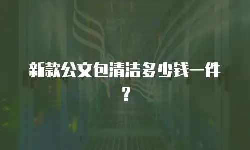 新款公文包清洁多少钱一件？