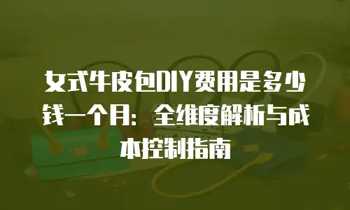 女式牛皮包DIY费用是多少钱一个月：全维度解析与成本控制指南