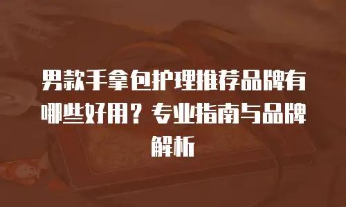 男款手拿包护理推荐品牌有哪些好用？专业指南与品牌解析