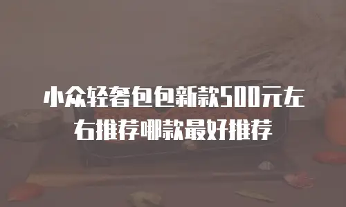 小众轻奢包包新款500元左右推荐哪款最好推荐