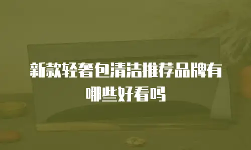 新款轻奢包清洁推荐品牌有哪些好看吗