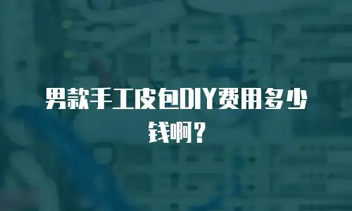 男款手工皮包DIY费用多少钱啊？
