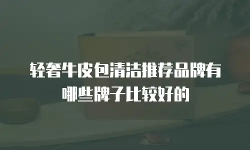 轻奢牛皮包清洁推荐品牌有哪些牌子比较好的