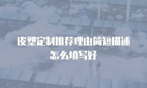 皮塑定制推荐理由简短描述怎么填写好