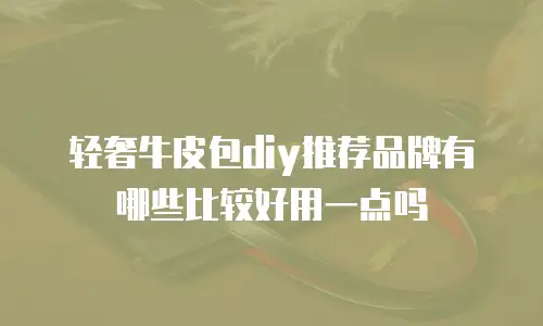 轻奢牛皮包diy推荐品牌有哪些比较好用一点吗