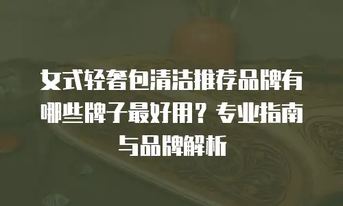 女式轻奢包清洁推荐品牌有哪些牌子最好用？专业指南与品牌解析