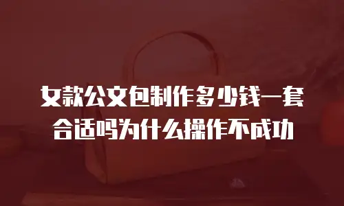 女款公文包制作多少钱一套合适吗为什么操作不成功