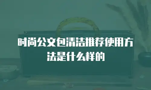 时尚公文包清洁推荐使用方法是什么样的
