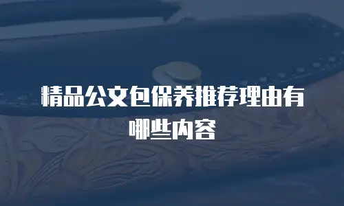 精品公文包保养推荐理由有哪些内容